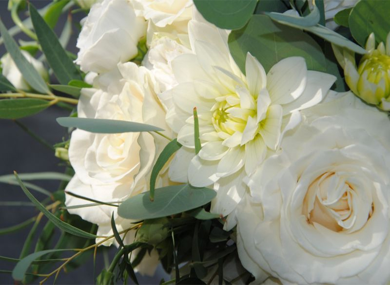 Fiori e bouquet