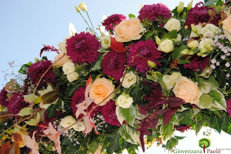 Matrimonio Parco Olivelli