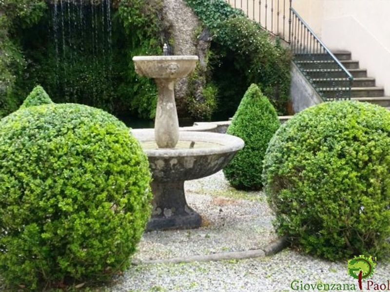 Giardini, Siepi e Grandi alberi